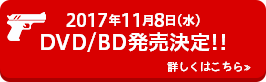 2017年11月8日(水)<br />DVD/BD発売決定!!
